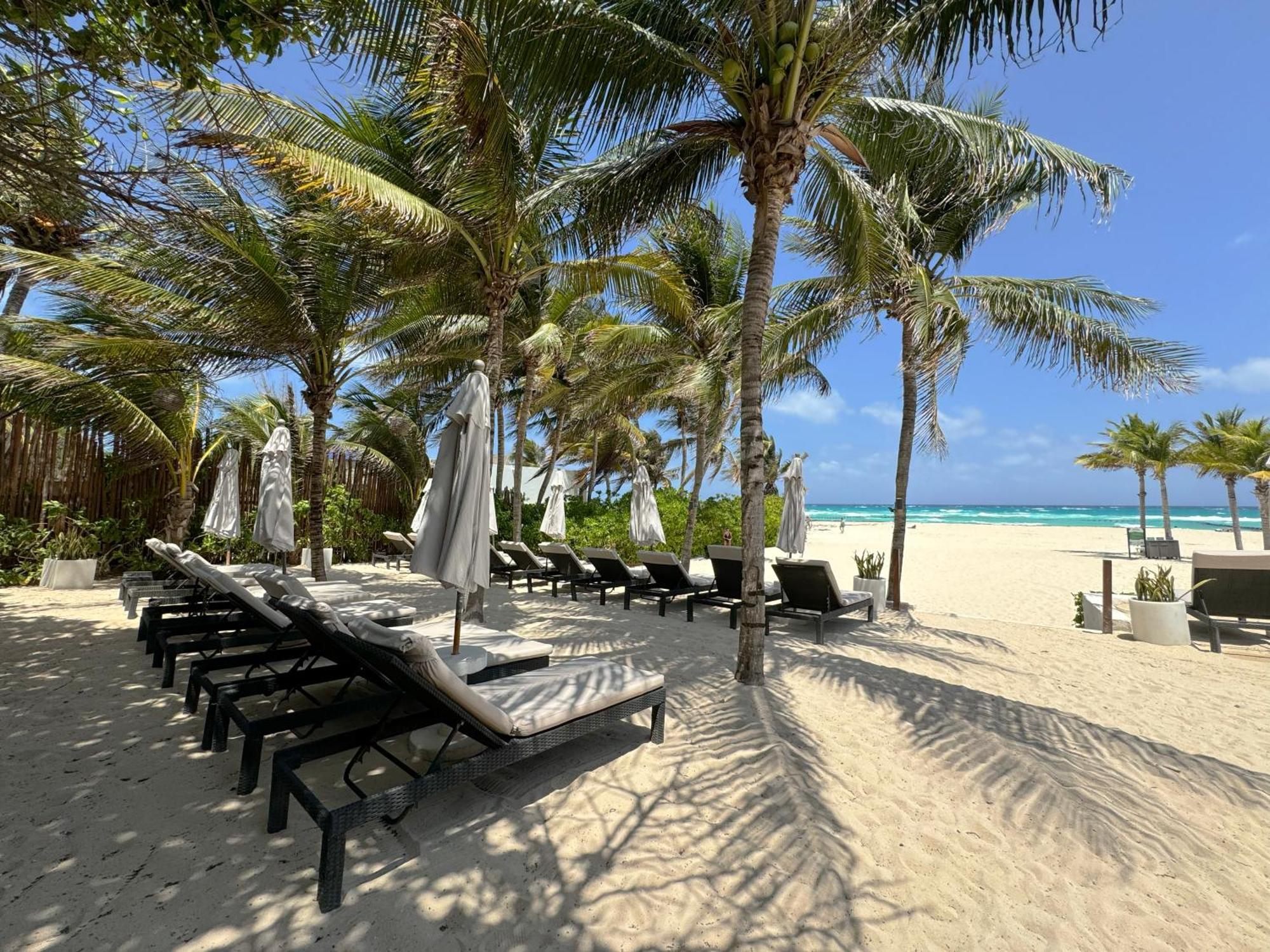The Reef Playacar Beach Resort & Spa Playa del Carmen Exterior foto